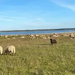 Urlaub Unterm Reetdach Auf Dem Darss Дом отдыха