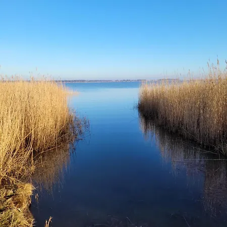 Urlaub Unterm Reetdach Auf Dem Darss Feriehus